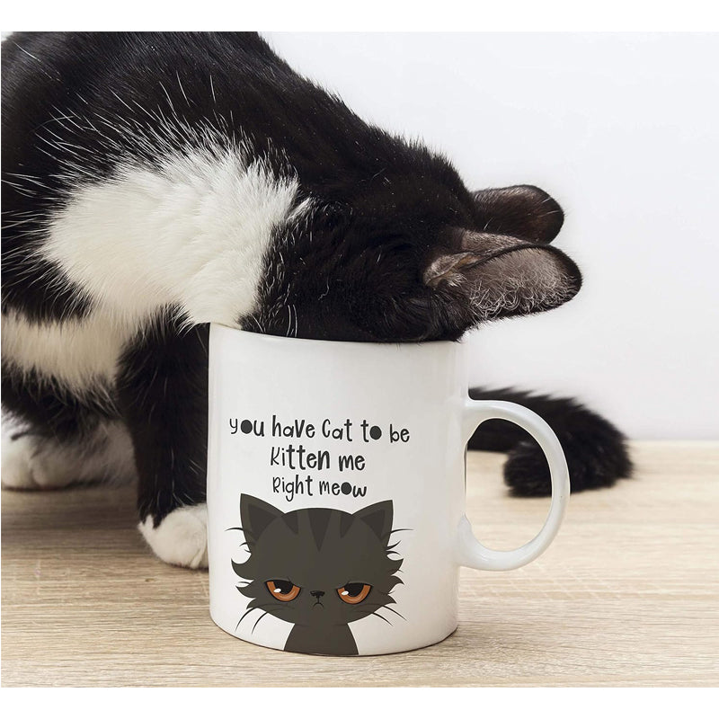 Funny Novelty Coffee Mug